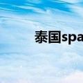 泰国spa全身放松推拿（泰国spa）