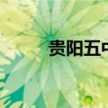 贵阳五中（关于贵阳五中的介绍）