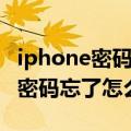 iphone密码忘了怎么办只能刷机吗（iphone密码忘了怎么办）