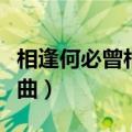 相逢何必曾相识歌曲原唱（相逢何必曾相识歌曲）