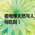 祖母绿天然与人工合成的区别（天然祖母绿与合成祖母绿有何区别）