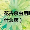 花卉杀虫用吡虫啉如何兑水使用（花卉杀虫用什么药）