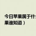 今日苹果属于什么果类（苹果属于哪类水果苹果属于哪类水果谁知道）