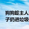 狗狗趁主人睡觉开冰箱偷吃雪糕 吃完还把盒子扔进垃圾桶里