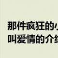 那件疯狂的小事叫爱情（关于那件疯狂的小事叫爱情的介绍）