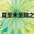 夏至未至陆之昂最后结局（陆之昂出狱求婚）