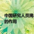 中国研究人员揭示氧化还原传感器蛋白在致病性分枝杆菌中的作用