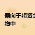 倾向于将资金投入到我们个人理解所独有的事物中